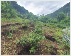  2025Ÿ��1754  �����