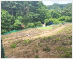  2025Ÿ��1754  ����