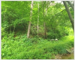  2025Ÿ��1754  ����