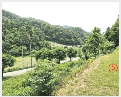  2025Ÿ��1754  �����