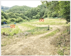  2025Ÿ��1754  �����