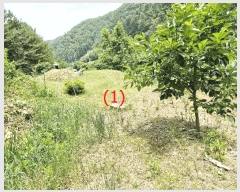  2025Ÿ��1754  �����