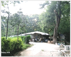  2025Ÿ��1846  �Ӿ߰��