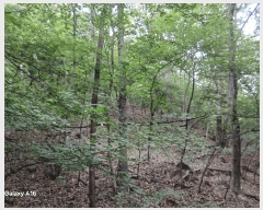  2025Ÿ��1846  �Ӿ߰��