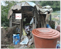  2025Ÿ��1846  �Ӿ߰��