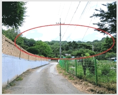  2025Ÿ��1846  �Ӿ߰��