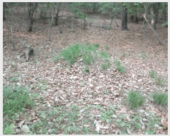  2025Ÿ��1846  �Ӿ߰��