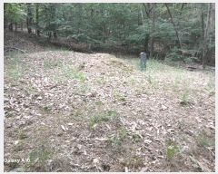  2025Ÿ��1846  �Ӿ߰��