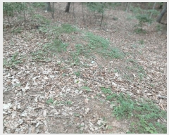  2025Ÿ��1846  �Ӿ߰��