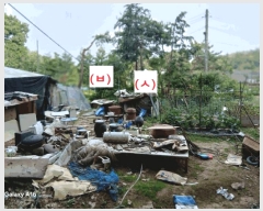  2025Ÿ��1846  �Ӿ߰��