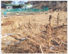  2025Ÿ��70736 ��� �����ֽ� ���е� 177       ����(��1)���