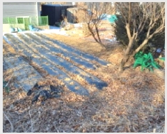  2025Ÿ��70736 ��� �����ֽ� ���е� 177       ����(��1)���