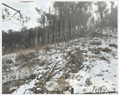  2025Ÿ��70750  �Ӿ߰��