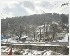  2025Ÿ��70750  �Ӿ߰��