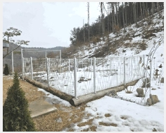  2025Ÿ��70750  �Ӿ߰��