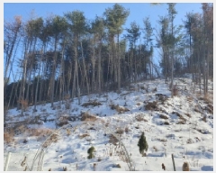  2025Ÿ��70750  �Ӿ߰��