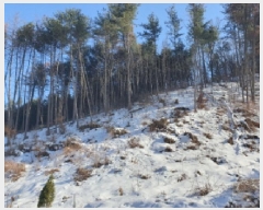  2025Ÿ��70750  �Ӿ߰��