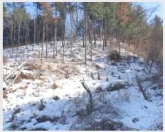  2025Ÿ��70750  �Ӿ߰��