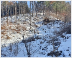  2025Ÿ��70750  �Ӿ߰��