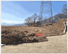  2025Ÿ��71238 ��� ���� û��� ������ 782-2      ����(�Ӿ�)���