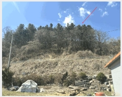  2025Ÿ��71363  ���(�󰡽ü�)���