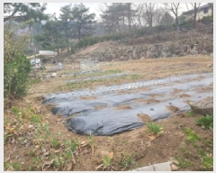  2025Ÿ��71419  �������