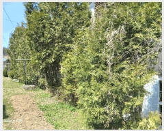  2025Ÿ��71470  ���ð��