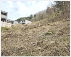  2025Ÿ��71539 ��� ���� ���Ǹ� ȸ� 255      ����(��1)���