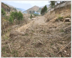  2025Ÿ��71539 ��� ���� ���Ǹ� ȸ� 255      ����(��1)���