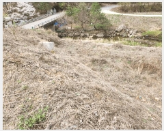  2025Ÿ��71539 ��� ���� ���Ǹ� ȸ� 255      ����(��1)���