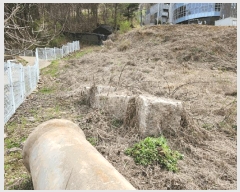  2025Ÿ��71539 ��� ���� ���Ǹ� ȸ� 255      ����(��1)���