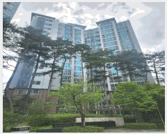  2025Ÿ��71545  ����Ʈ���