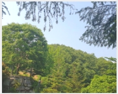  2025Ÿ��71682 ��� ���� û��� ������ ��87      ����(�Ӿ�)���