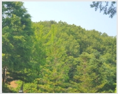  2025Ÿ��71682 ��� ���� û��� ������ ��87      ����(�Ӿ�)���