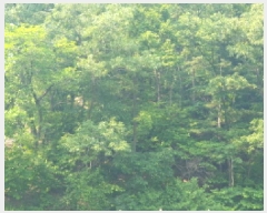  2025Ÿ��71682 ��� ���� û��� ������ ��87      ����(�Ӿ�)���