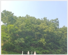  2025Ÿ��71682 ��� ���� û��� ������ ��87      ����(�Ӿ�)���