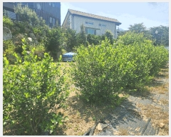  2025Ÿ��71750 ��� ���� ��� ���ʸ� 107-28      ����(�Ӿ�)���