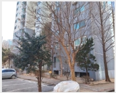  2026Ÿ��6 ��� �����ν� ������ 391-19 �ǿ�����Ʈ 103�� 16��1604ȣ    ����Ʈ���