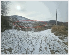  2026Ÿ��70116 ��� ��õ�� �̻�� �ƹ̸� 136      ����(��1)���