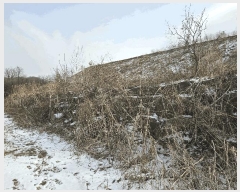  2026Ÿ��70116 ��� ��õ�� �̻�� �ƹ̸� 136      ����(��1)���