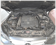  2026Ÿ��50706  �������