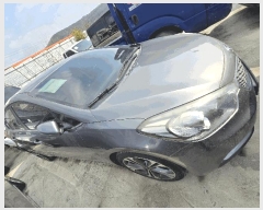  2026Ÿ��50464  �������