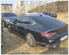  2026Ÿ��50001 ������ ���η� 55 �ִ�ī���� ������ ��     �������