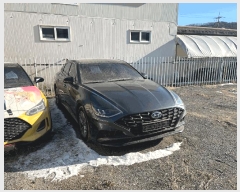  2026Ÿ��50034 ���ֽ� ���ʸ� ����� 14-16       �������