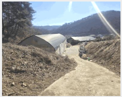  2026Ÿ��50038 ��� ��õ�� ��õ�� ��踮 315-1      �ܵ�����,�����ð��