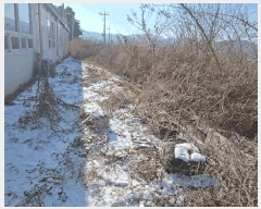  2026Ÿ��50016 ��� ��õ�� �������� �ݰ 394-3      ������