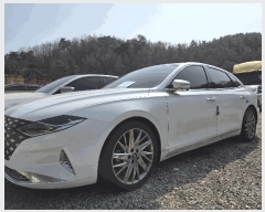  2026Ÿ��100440 �뱸 ���� �󸮵� 295 ������ġ����      �������