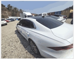  2026Ÿ��100440 �뱸 ���� �󸮵� 295 ������ġ����      �������