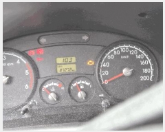  2026Ÿ��3028 �뱸 ���� �󸮵� 295 ������ġ��������      �������