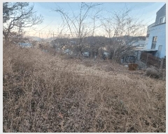  2026Ÿ��10018 �泲 ���ؽ� �Ѹ��� ���긮 208-3      ����(��1)���